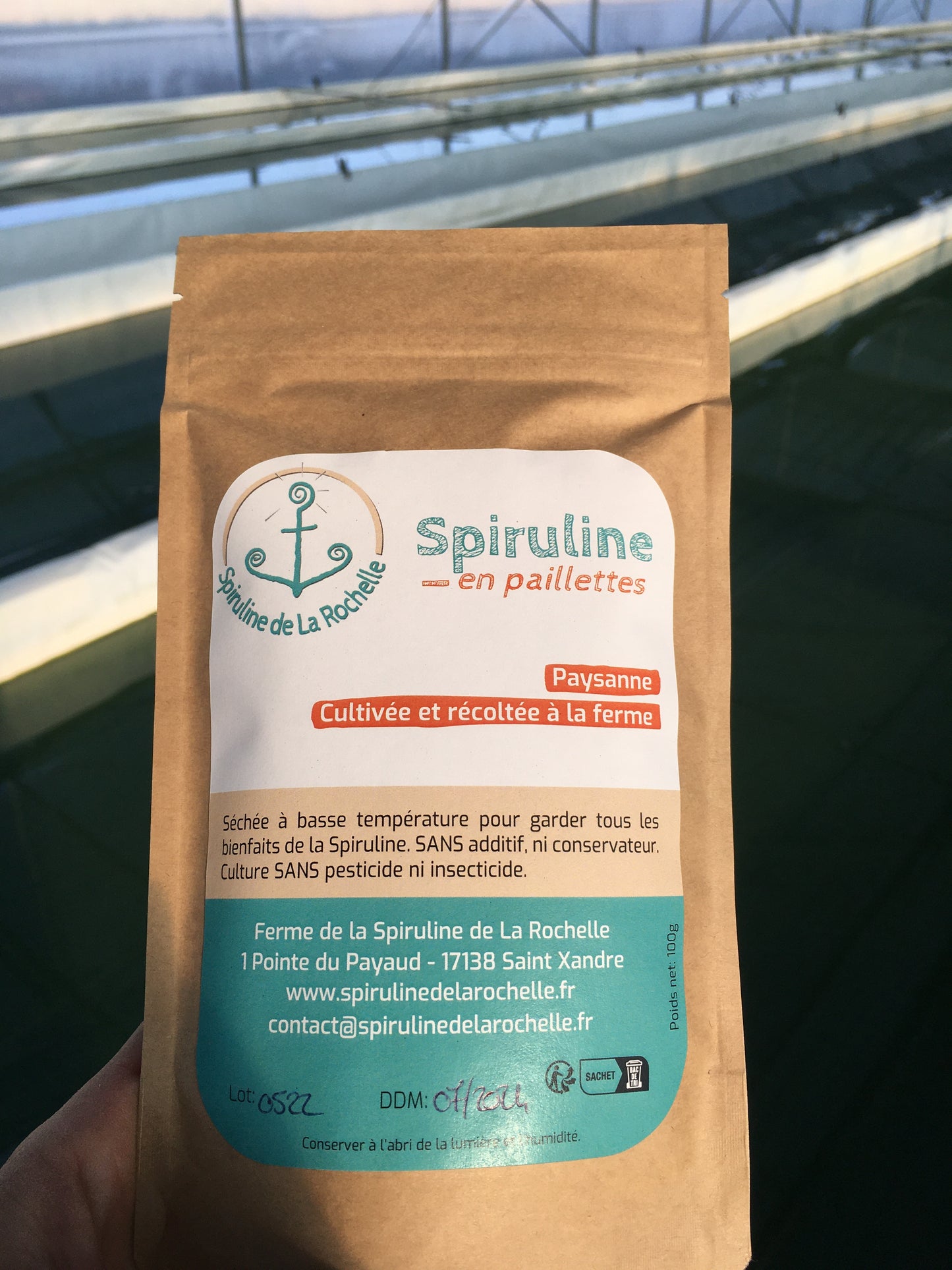 Spiruline en PAILLETTES - 100 gr