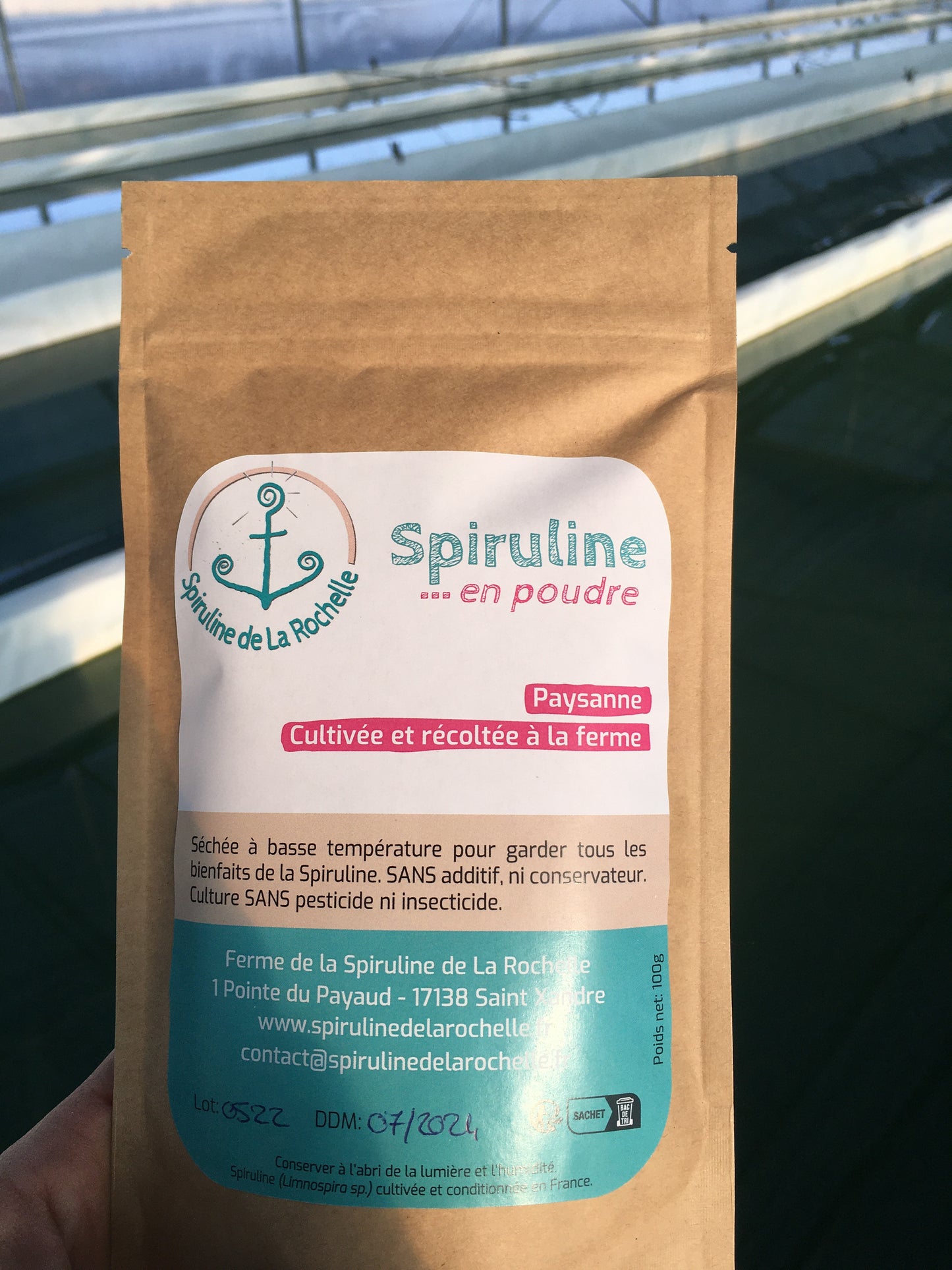 Spiruline en POUDRE - 100 gr