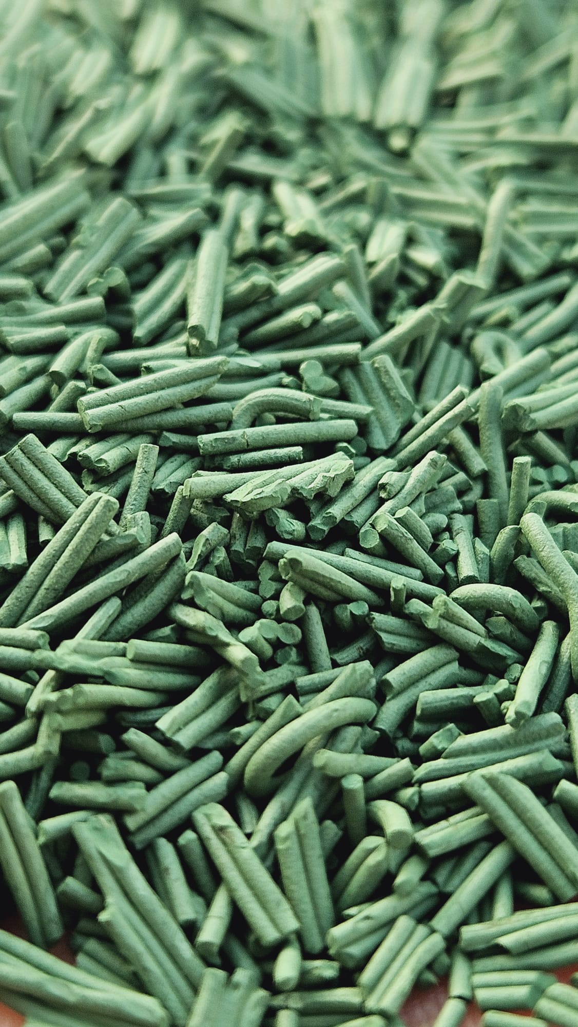 Spiruline en PAILLETTES - 100 gr